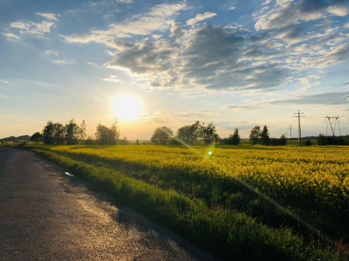 Nibylandia Dom Pod Lasem Nowa Wies Grodziska Exterior foto