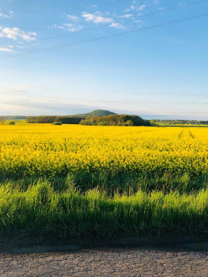 Nibylandia Dom Pod Lasem Nowa Wies Grodziska Exterior foto